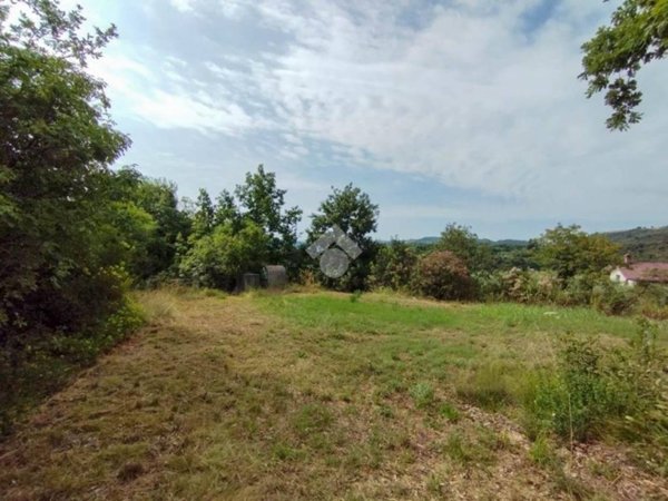 terreno agricolo in vendita a Puegnago del Garda