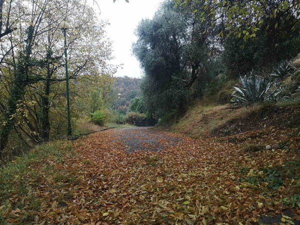 terreno agricolo in vendita a Puegnago del Garda