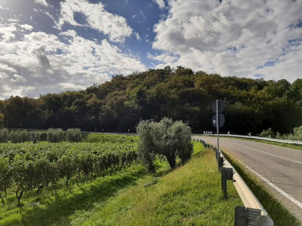 terreno edificabile in vendita a Puegnago del Garda