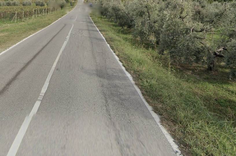 terreno agricolo in vendita a Puegnago del Garda