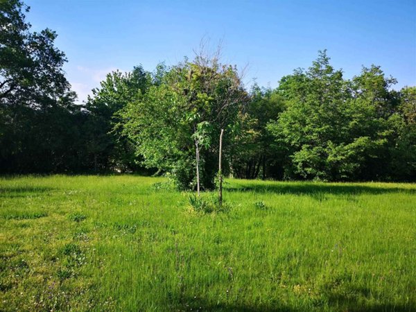 terreno agricolo in vendita a Puegnago del Garda