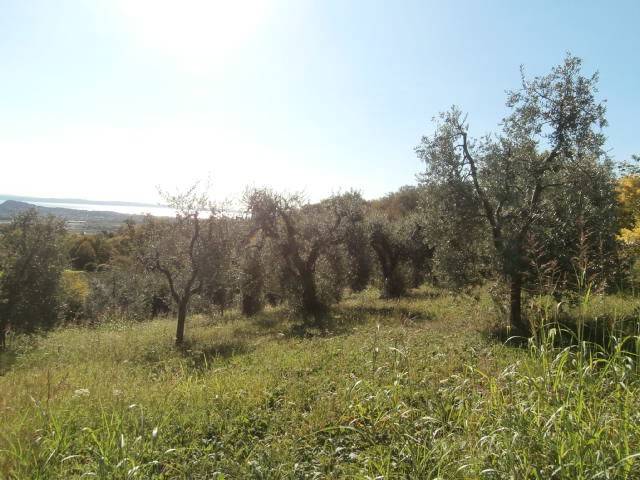 terreno agricolo in vendita a Puegnago del Garda