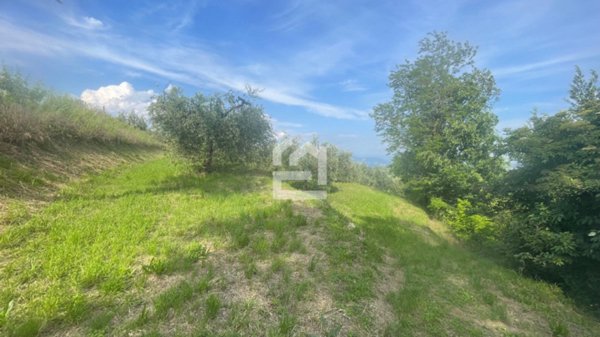 terreno agricolo in vendita a Puegnago del Garda