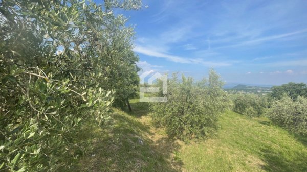 immagine annuncio 0 di 6