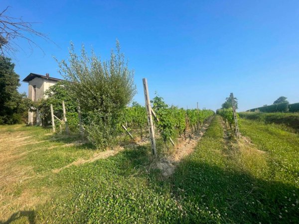 terreno agricolo in vendita a Puegnago del Garda
