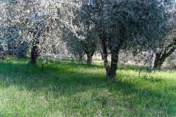 terreno agricolo in vendita a Puegnago del Garda