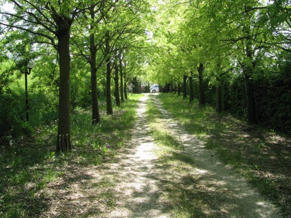 negozio in vendita a Puegnago del Garda