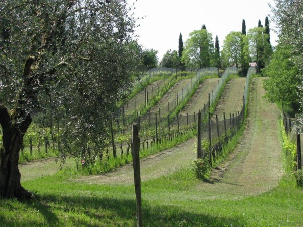 casale in vendita a Puegnago del Garda