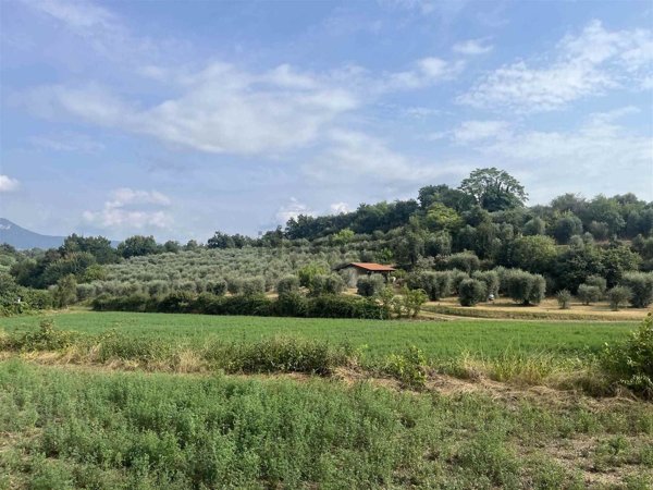 terreno agricolo in vendita a Puegnago del Garda