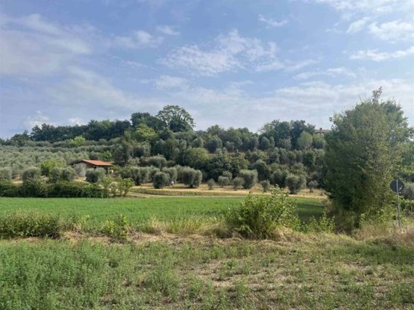 terreno agricolo in vendita a Puegnago del Garda