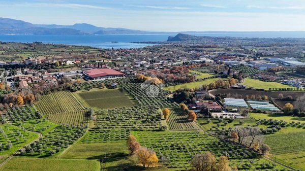 terreno agricolo in vendita a Puegnago del Garda