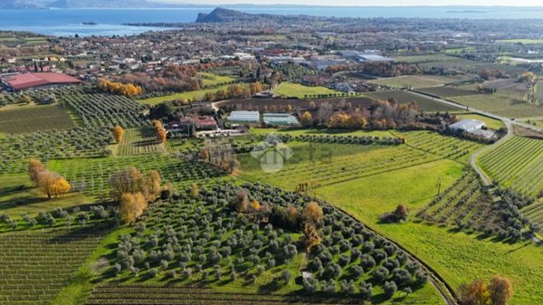 terreno agricolo in vendita a Puegnago del Garda