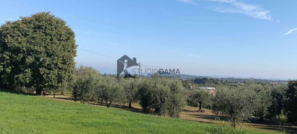 terreno agricolo in vendita a Puegnago del Garda