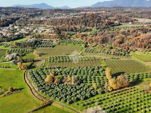 terreno agricolo in vendita a Puegnago del Garda