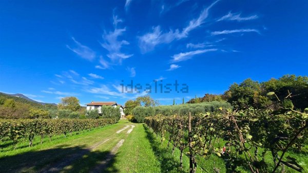 casale in vendita a Puegnago del Garda