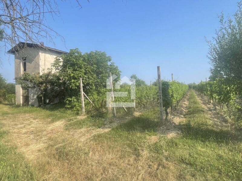 terreno agricolo in vendita a Puegnago del Garda