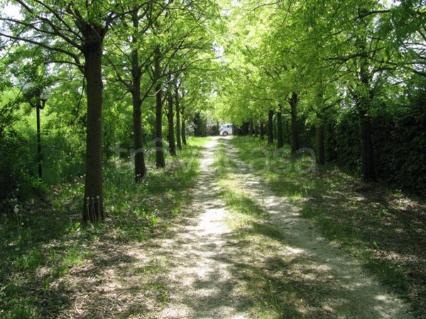 negozio in vendita a Puegnago del Garda