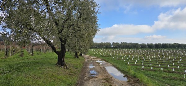 appartamento in vendita a Puegnago del Garda