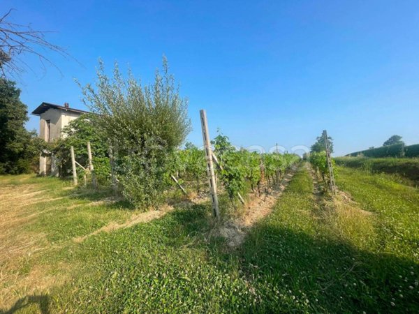terreno agricolo in vendita a Puegnago del Garda