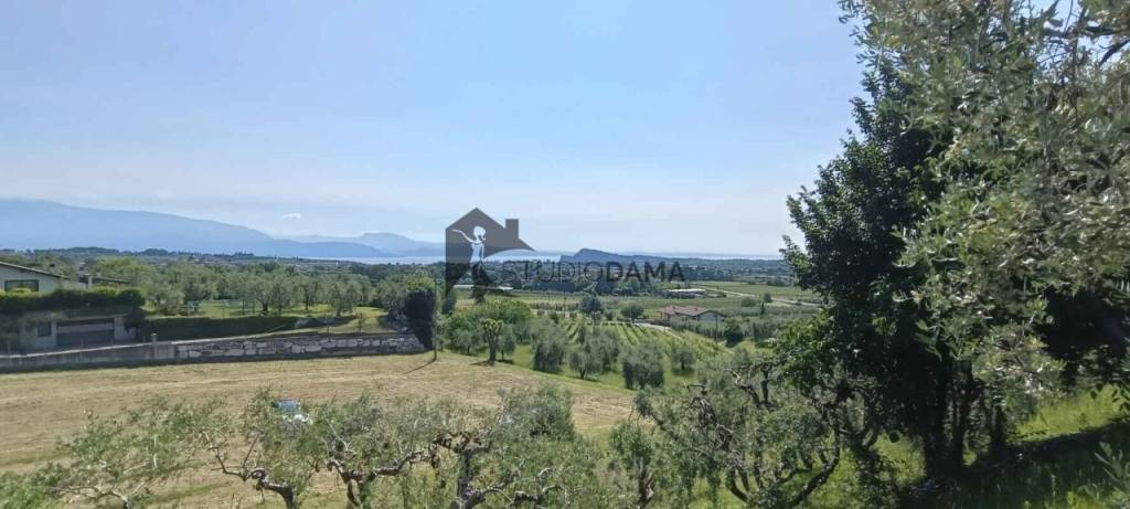 terreno agricolo in vendita a Puegnago del Garda