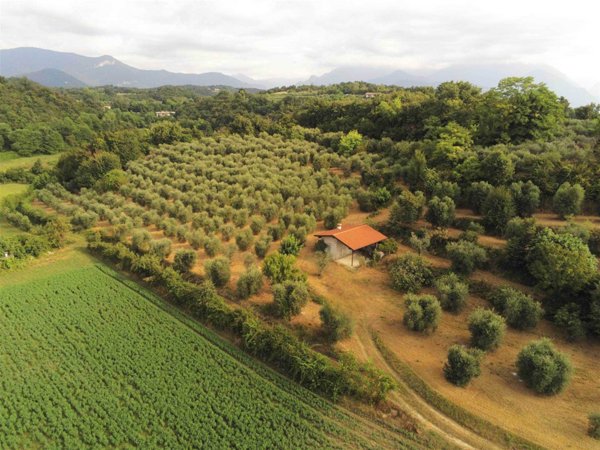 terreno agricolo in vendita a Puegnago del Garda
