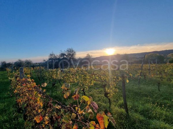 terreno agricolo in vendita a Puegnago del Garda