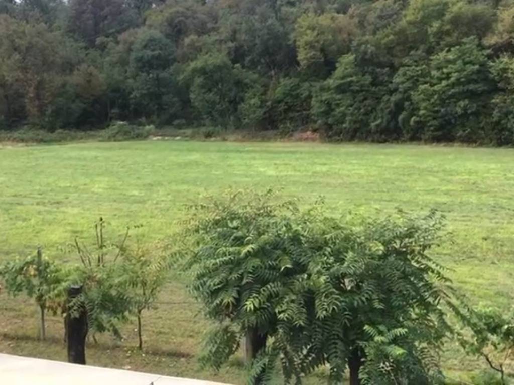 terreno agricolo in vendita a Puegnago del Garda