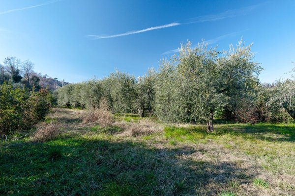 terreno agricolo in vendita a Puegnago del Garda