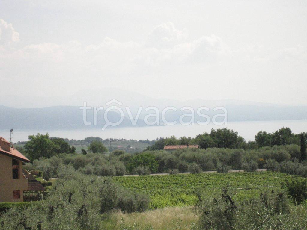terreno agricolo in vendita a Puegnago del Garda