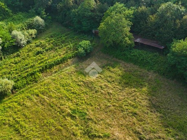 terreno agricolo in vendita a Puegnago del Garda