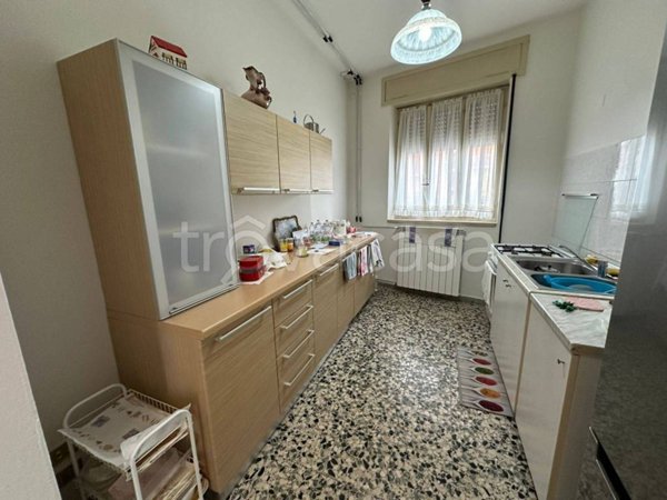 immagine annuncio 0 di 15
