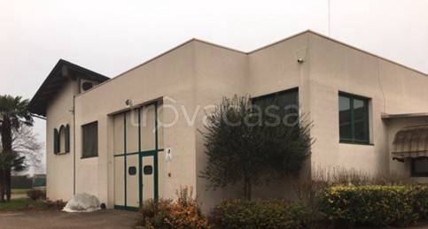 negozio in vendita a Remedello