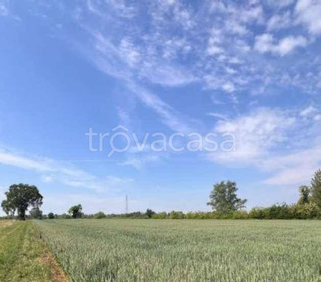 terreno in vendita a Remedello