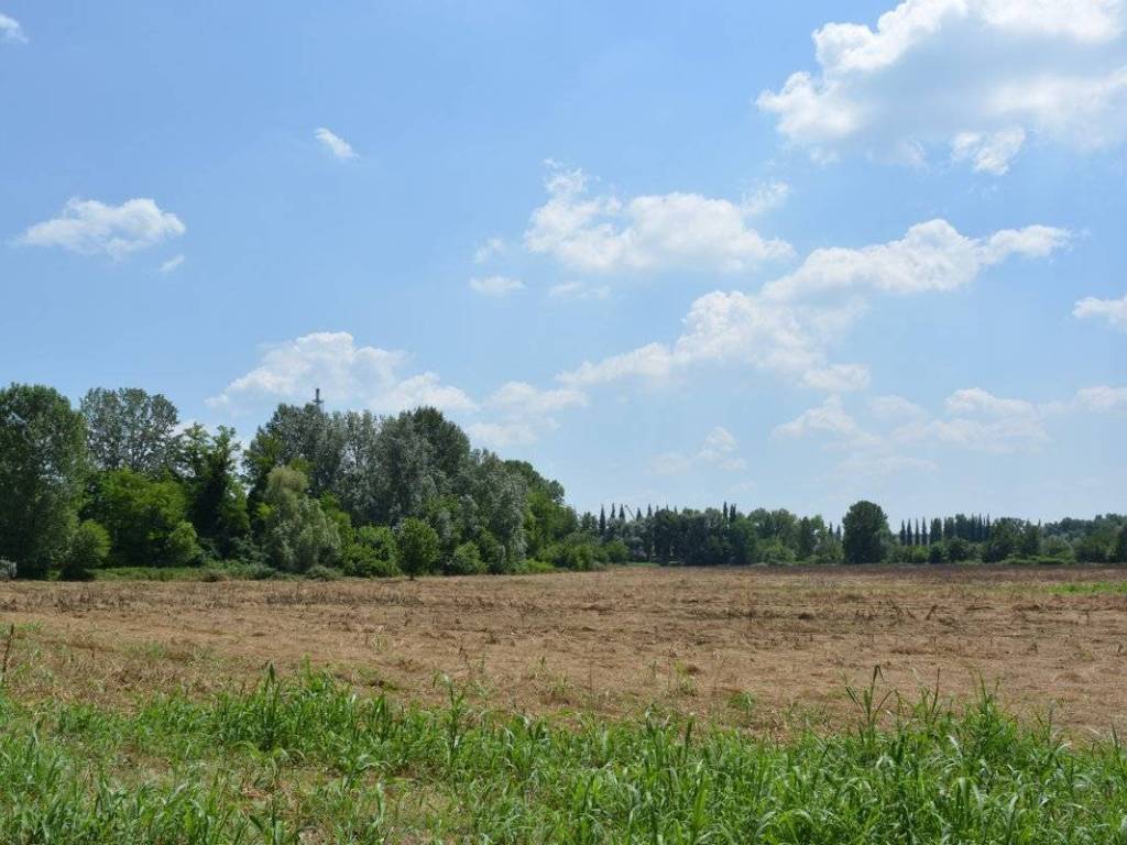 terreno agricolo in vendita a Rezzato