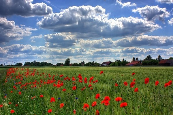 terreno agricolo in vendita a Rezzato