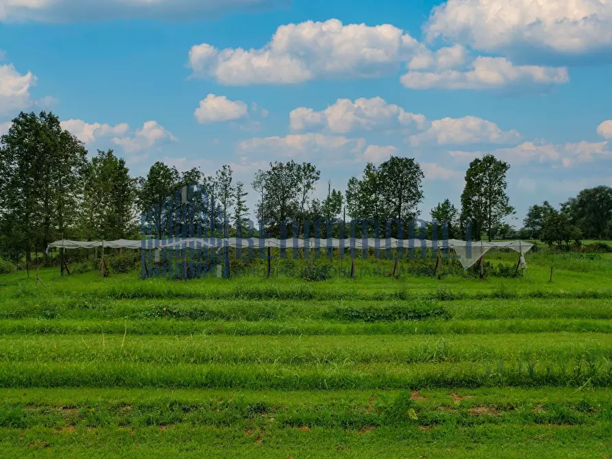 terreno agricolo in vendita a Rezzato
