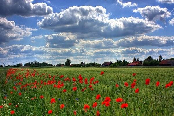terreno agricolo in vendita a Rezzato