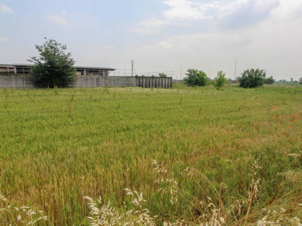terreno edificabile in vendita a Roccafranca