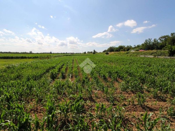 terreno agricolo in vendita a Rodengo Saiano