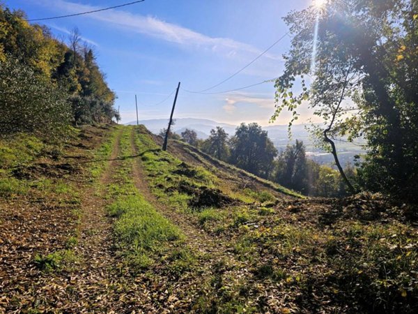 terreno agricolo in vendita a Rodengo Saiano