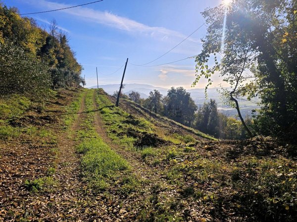terreno agricolo in vendita a Rodengo Saiano