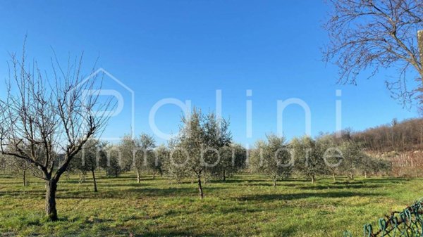 terreno agricolo in vendita a Rodengo Saiano in zona Ponte Cingoli