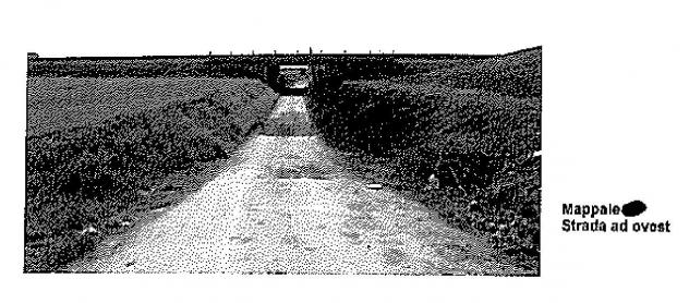 terreno agricolo in vendita a Rodengo Saiano