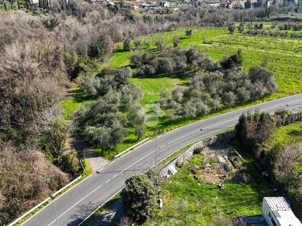 terreno agricolo in vendita a Roè Volciano