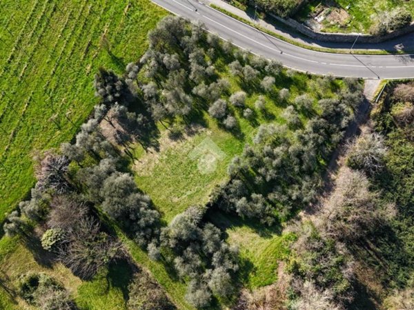 terreno agricolo in vendita a Roè Volciano