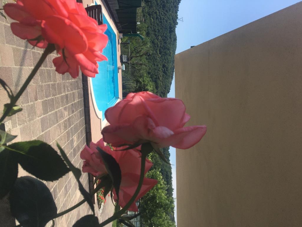 villa in vendita a Roè Volciano