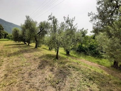 casa semindipendente in vendita a Roè Volciano in zona Trobiolo