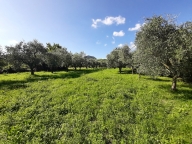 casa semindipendente in vendita a Roè Volciano