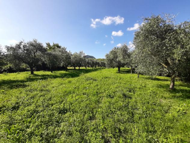 casa semindipendente in vendita a Roè Volciano