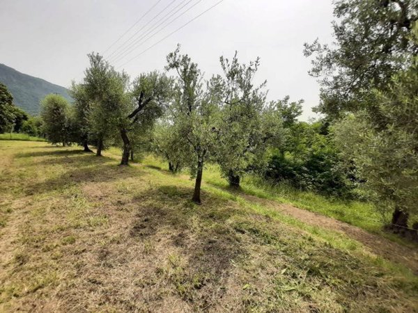 casa semindipendente in vendita a Roè Volciano in zona Trobiolo